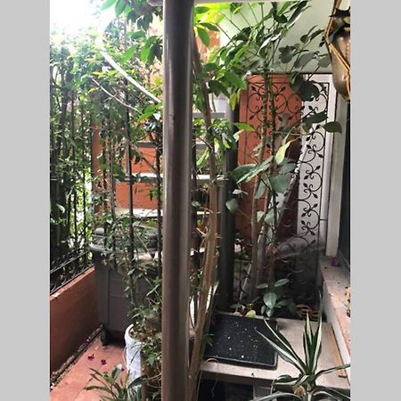 Amplia Habitacion Tipo Ejecutiva Con Bano Y Acceso Privados Toluca Esterno foto
