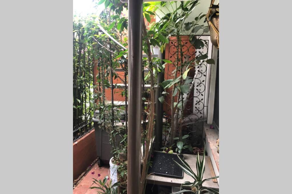 Amplia Habitacion Tipo Ejecutiva Con Bano Y Acceso Privados Toluca Esterno foto